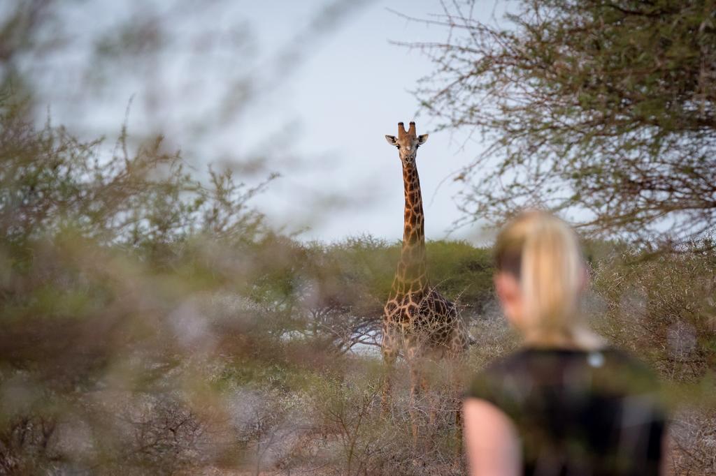 Klaserie River Safari Lodge フッドスプルイト エクステリア 写真